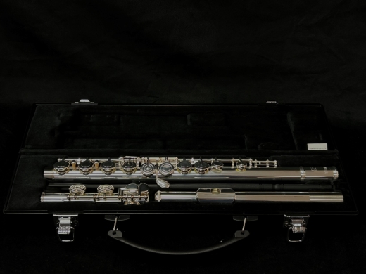 Store Special Product - Yamaha Band - YFL222